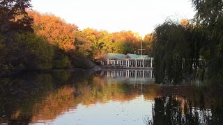 秋天到中央公園賞美麗楓紅，再來尋找電影秘境 Beautiful maple trees in Central and secret movie filmed spot