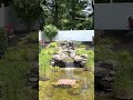 Backyard Waterfall 🌊 Before & AFTER! | #shorts