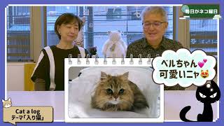 毎日がネコ曜日 豊島区「ペットとともに同行避難」を見学＆Cat a log「入り猫」