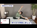 【痩せるナイトルーティン】寝る前の全身ストレッチ【ぐっすり安眠 自律神経を整える】