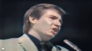 The Bobby Fuller Four - Love's Made a Fool of You (1965)