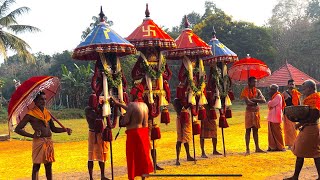 ഒരിപ്പുറത്തു ഭഗവതി ക്ഷേത്രം പറക്കെഴുന്നള്ളത്ത് | Thattayil Orippurathu Bhagavathy Temple |