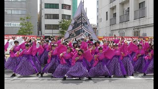 CHIよREN北天魁  2019 新作『ウチのネコ』第18回木更津舞尊