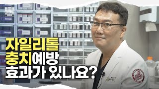 사탕 대신 자일리톨? 정말 충치 예방 가능할까요?