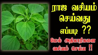 ராஜ வசியம் செய்வது எப்படி ? - raja vasiyam - vasiyam - ராஜ வசியம் - Manthrigam