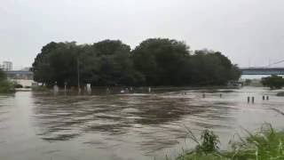 2016/8/22 16:24 台風9号 二子玉川付近の多摩川の水位 3