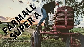 Buying an Antique Farmall Super A