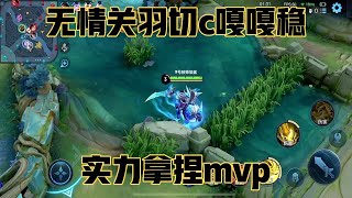 无情关羽嘎嘎稳.打团切c犹如探囊取物！实力拿捏mvp