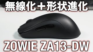 なぜZA13はこれほどまでに人気なのか/ZOWIE ZA13-DW