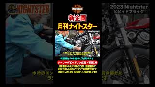 新企画【月刊ナイトスター】ナイトスター全５車種を一挙ご紹介！#shorts #harleydavidson #ハーレーダビッドソン成田幕張