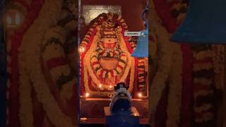 karthika masam | karthika deepam | Arunachalm @harisanchari #harisanchari #trending