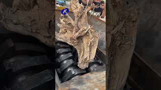 Double shaft shredder shreds tree roots #machine #doubleshaftshredder #shredder #treeroots #recycle