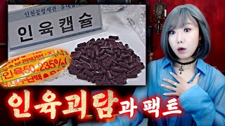 인육캡슐이 영양제? 끔찍한 괴담속에도 팩트가 있었다! | 토요미스테리 | 디바제시카