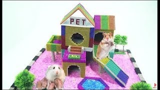 Build Amazing Hamster Riverside House With Magnetic Balls Satisfying