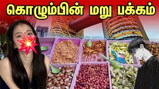 2025 ம் வருடத்தில் முழுமையாக மாற்றம் அடைந்த இலங்கை | clean srilanka | colombo