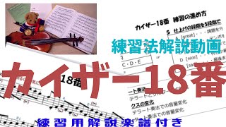 【カイザー18番】解説楽譜あり初心者が絶対弾けるバイオリン練習法徹底解説！質の向上のため3連符の切り替えとマルカート