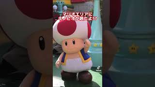 マリオエリアにキノピオが居たよ!?