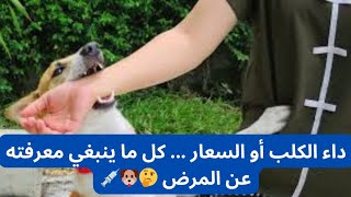 داء الكلب أو السعار ... كل ما ينبغي معرفته عن المرض 🤔🐶💉