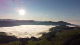 Alpine foothills autumn impressions