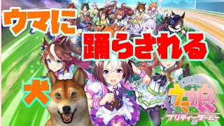 【#ウマ娘】スコーピオン杯Aグループ決勝ラウンド【グレードリーグ】