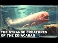 Before the Dinosaurs: The Mysteries of the Lost Age of Ediacaran Creatures | Documentary