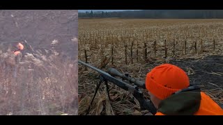 PA Gun Season | Encounter #3 | Hunter Harassment | Gehrig Youth