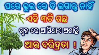 ଘରେ ଭୁଲରେ ବି ଲଗାନ୍ତୁ ନାହିଁ ଏହି 3ଟି ଗଛ, ହୋଇଥାଏ ଅଶୁଭ ଦେଖା ଦେଇଥାଏ ଦରିଦ୍ରତା !