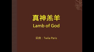 真神羔羊 Lamb of God (Piano)