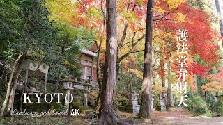 『秋の京都散策・護法堂弁財天』Autumn Kyoto Walk/Goho-do Benzaiten Temple/ Relaxing Landscape 4K video.