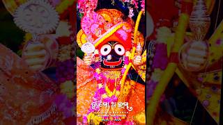 Tu Mo Arambha Tu Mo Sesha❤️Odia Jagannath Status Video || Odia New Jagannath Status Video