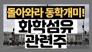 성안,효성티앤씨,대한화섬,티케이케미칼,태광산업,코오롱인더,휴비스