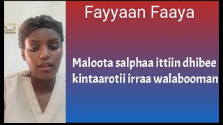 #Fayyaan Faaya  // Maloota salphaa ittiin dhibee kintaarotii irraa walabooman