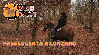 passeggiata a cavallo