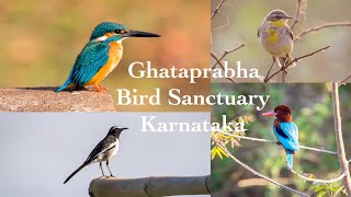 Ghataprabha Bird Sanctuary | Gokak | Belagavi | Belgaum | Karnataka Tourism | Bird Sanctuaries India