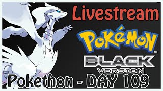 Pokethon (Day 109) | The Real Fist of the North Star | Pokémon Black (Game #44)