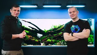 Creating a Huge Planted Aquarium with Driftwood | Part 2 - Planting & Tips