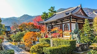 弘源寺 嵐山 京都 / Kogen-ji Temple Kyoto