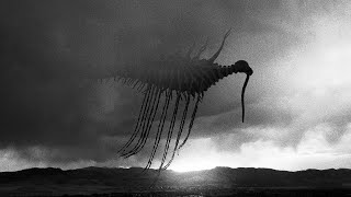 quiet apocalypse