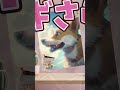 神アイテム！一瞬で時が止まる　　　　　　　　　　　　　　　 shorts コーギー dog