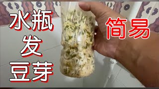 【2 分钟学会】矿泉水瓶 发豆芽