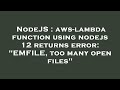 NodeJS : aws-lambda function using nodejs 12 returns error: 
