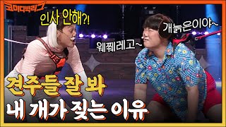 이번엔 강아지어 번역이다!! 냅다 고함지르는 꼰대견 김두영 \u0026 새끼 강아지 김철민의 팽팽한 신경전💥 #코미디빅리그 EP.470 | tvN 220918 방송