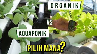 PERBEDAAN SISTEM AQUAPONIK DAN HIDROPONIK, MIRIP TAPI TAK SAMA!