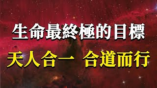 什麼才是生命最終極的目標？千萬不要再被外在的各種目標左右了！你只需要做好這一件事，豐盛富足、開心快樂的人生自然顯化！#能量#業力 #宇宙 #精神 #提升 #靈魂 #財富 #認知覺醒 #修行