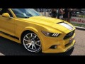 mustang valley 2017 more then 200 mustangs