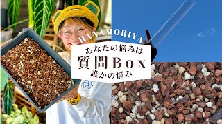 花森家質問BOX回答🙋‍♀️10月2日