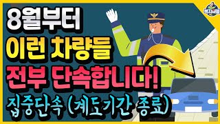 8월부터 이 차량들은 전부 단속합니다!! 계도기간 종료, 집중단속!