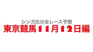 11月12日東京競馬【全レース予想】武蔵野S2022