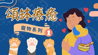 【寵物療癒音樂 Sound Therapy for Pets】頌缽療癒｜獨留家中寵物｜穩定情緒｜減低焦慮｜冥想音樂｜寵物音樂｜ 31分鐘 ｜#汪星人 #喵星人 #鏟屎官