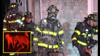 *** WATCH *** RESIDENTS, DOGS ESCAPE CHRISTMAS EVENING STRUCTURE FIRE IN YARMOUTH